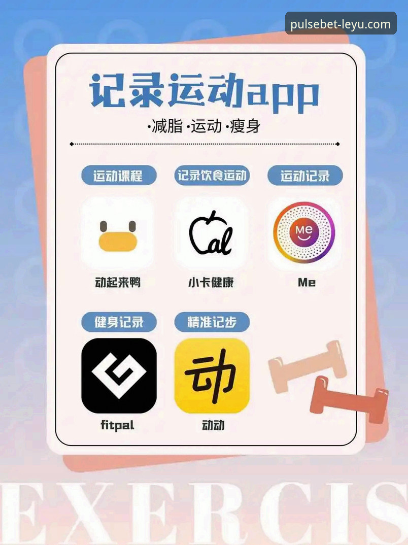 乐鱼体育app的功能详解与使用指南